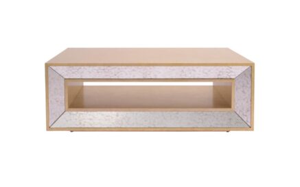 The Southern Collection Mirrored Cocktail Table